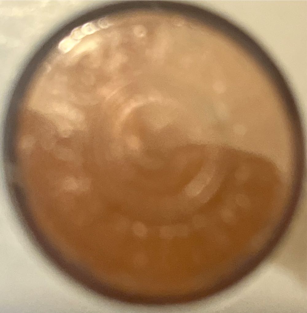 10 Cruzeiros (Vargas) 1966-67 Banknote