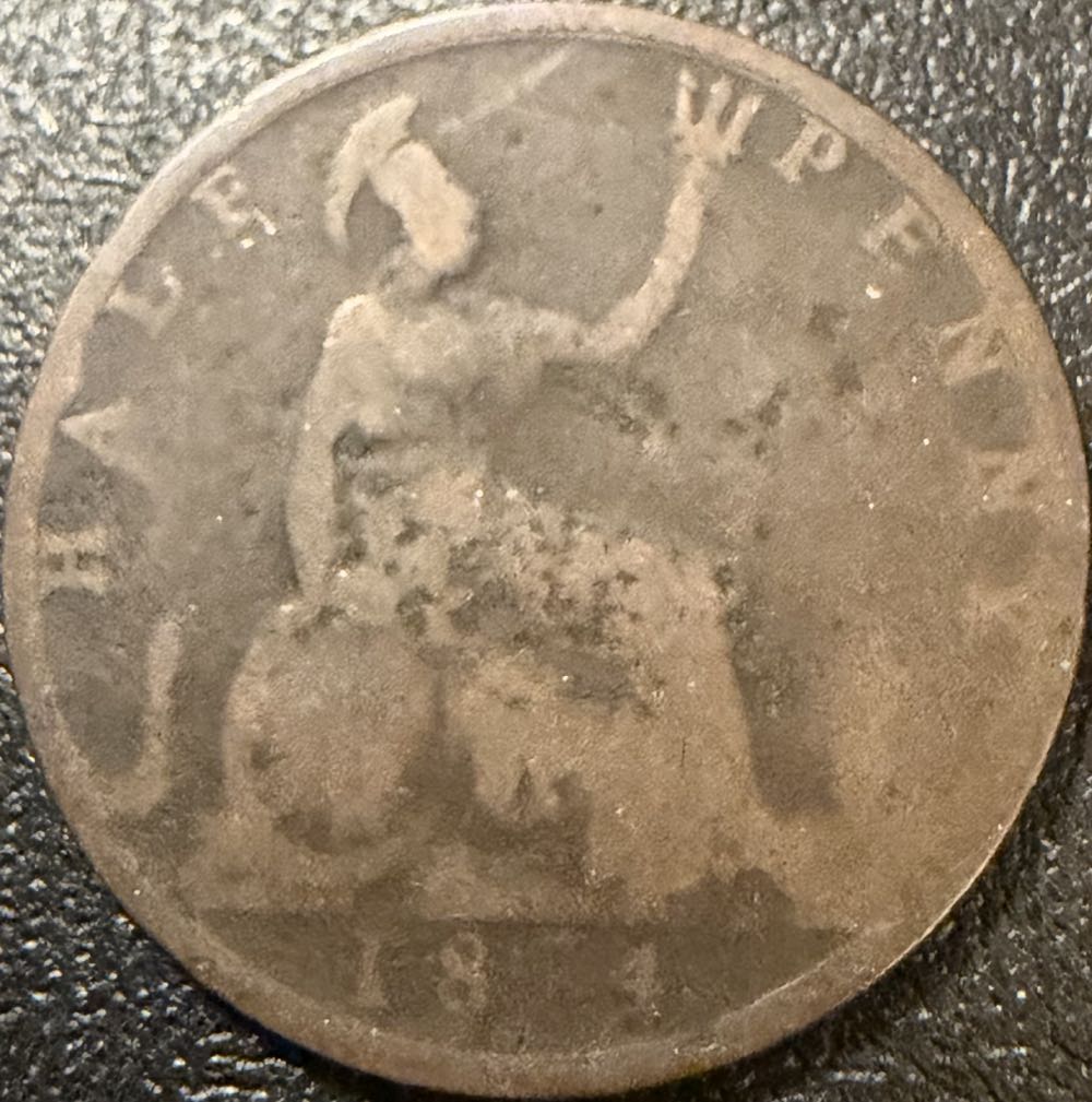 2021 Wildlife Stag Beetle 10p