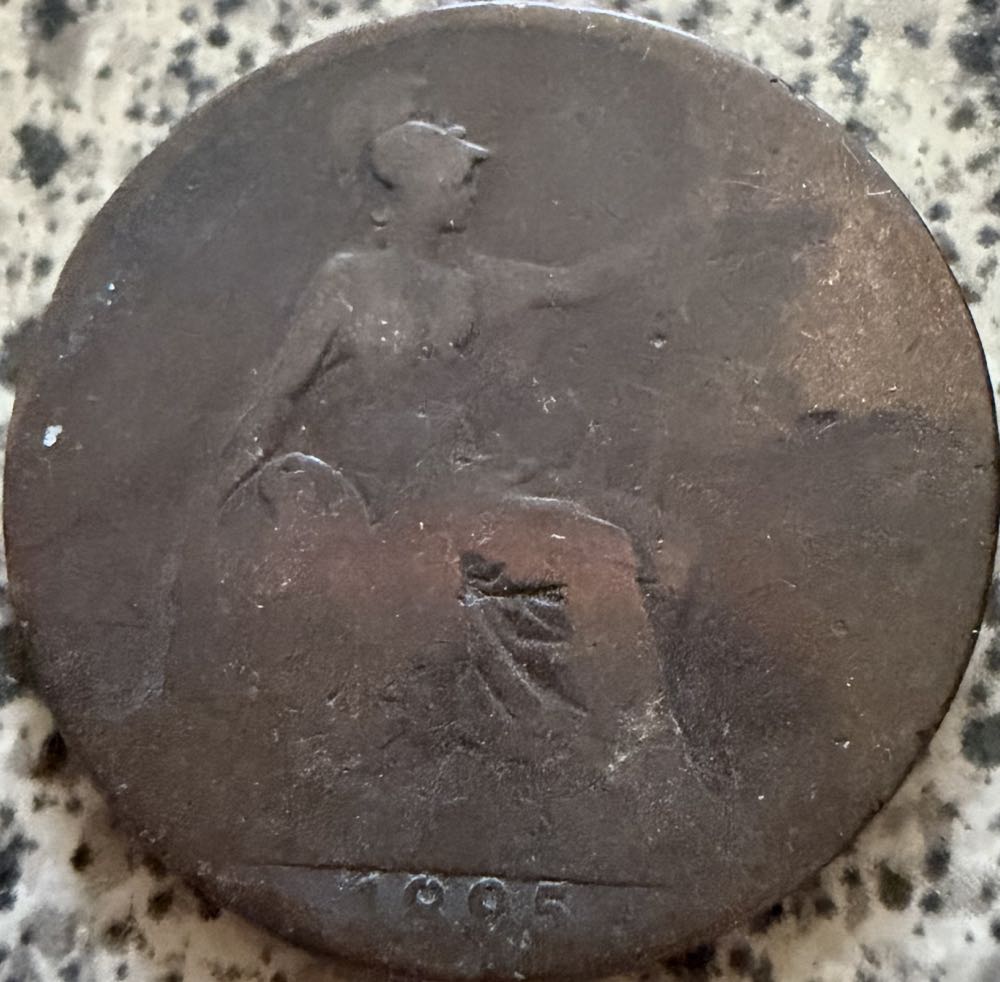 2024 Wildlife Cuckoo Wrasse 10p