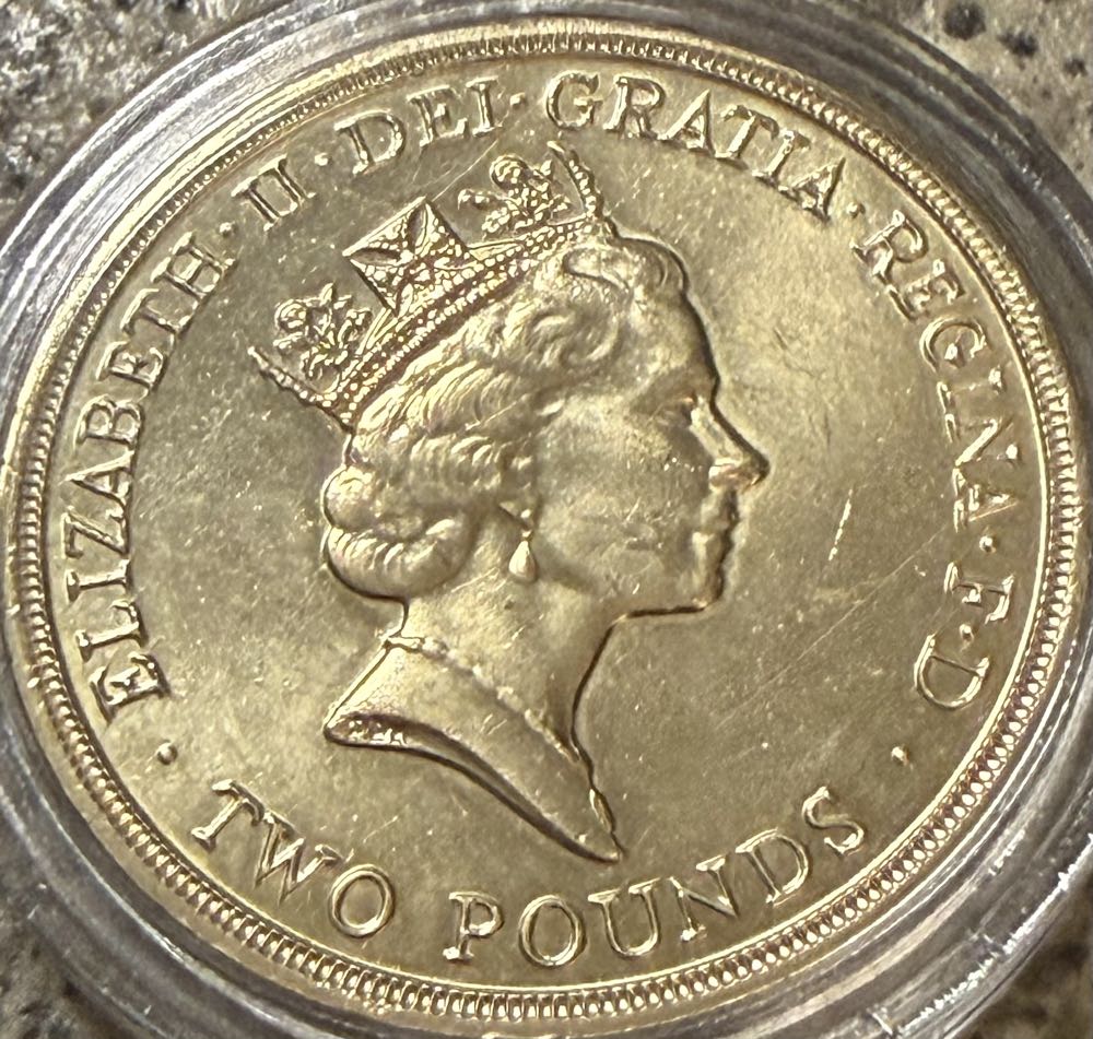 1995 Dove Of Peace £2  coin collectible - Main Image 2