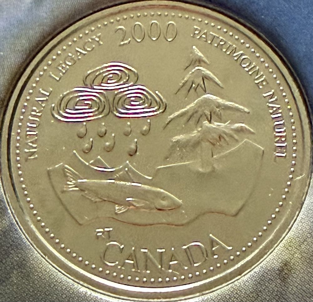 2022 Wildlife Kestrel 10p