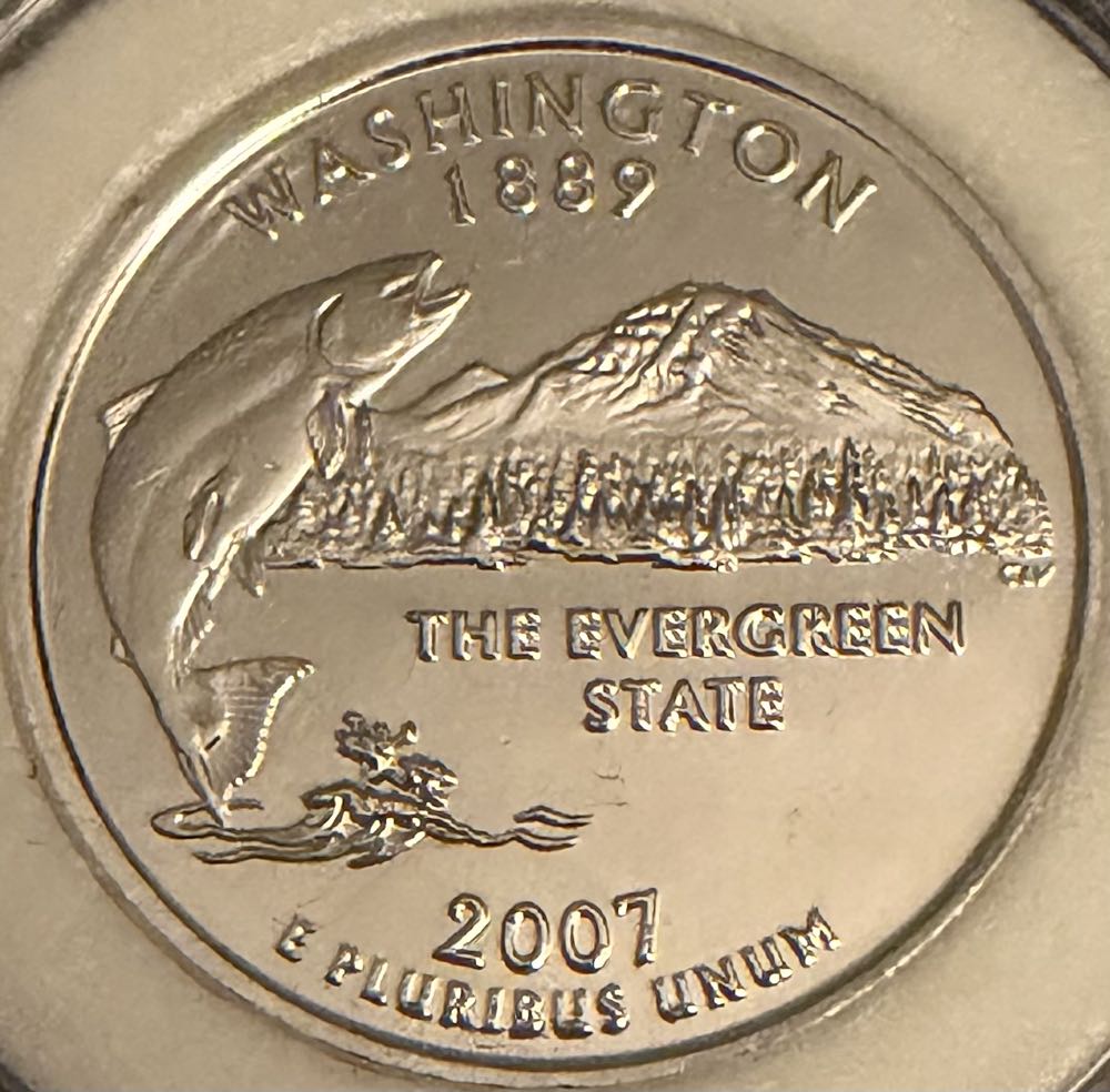 2024 Wildlife Mackerel 10p