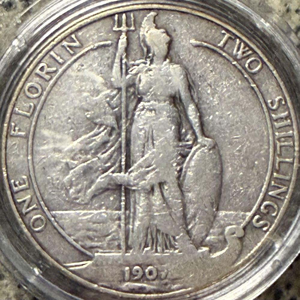 2024 Wildlife Plaice 10p