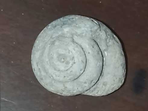 Winged Liberty Head (Mercury) Dime