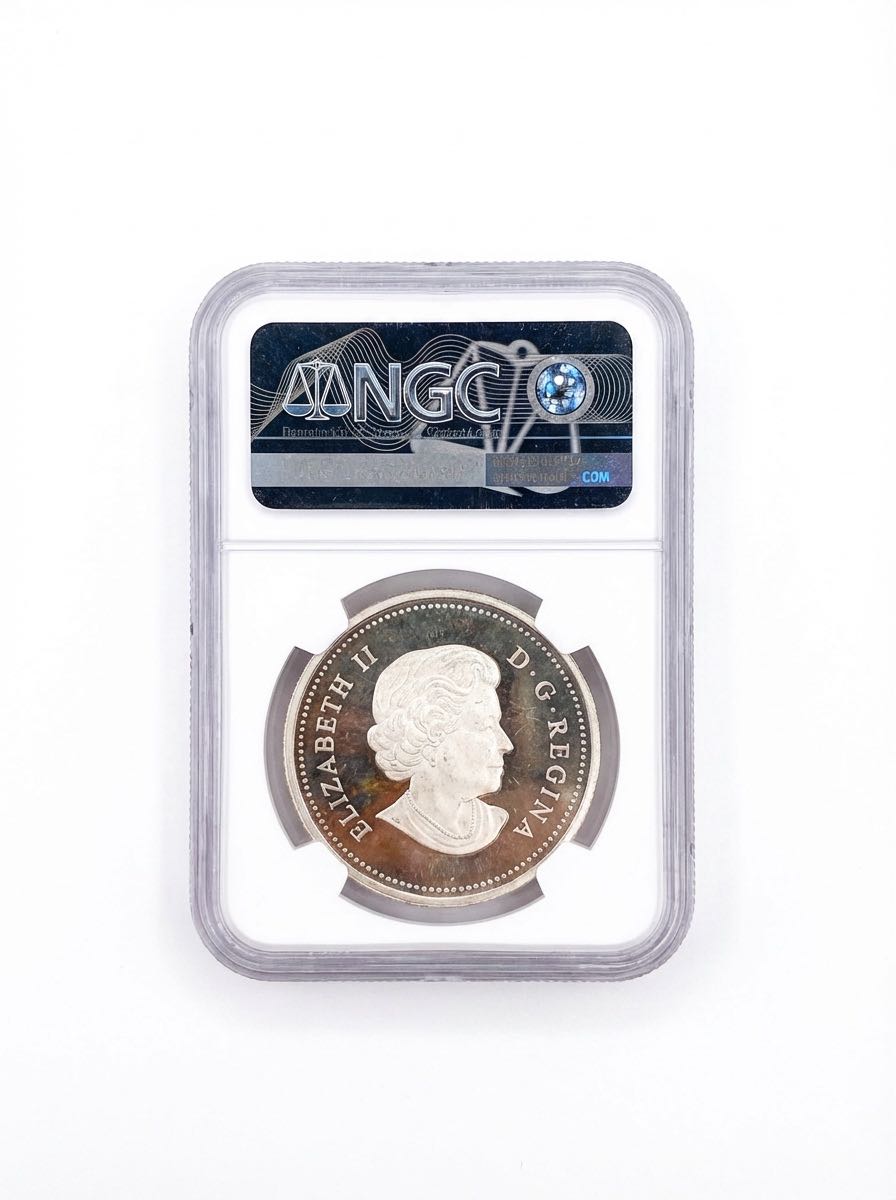 Bison: The Fight  coin collectible [Barcode 2630002004] - Main Image 2