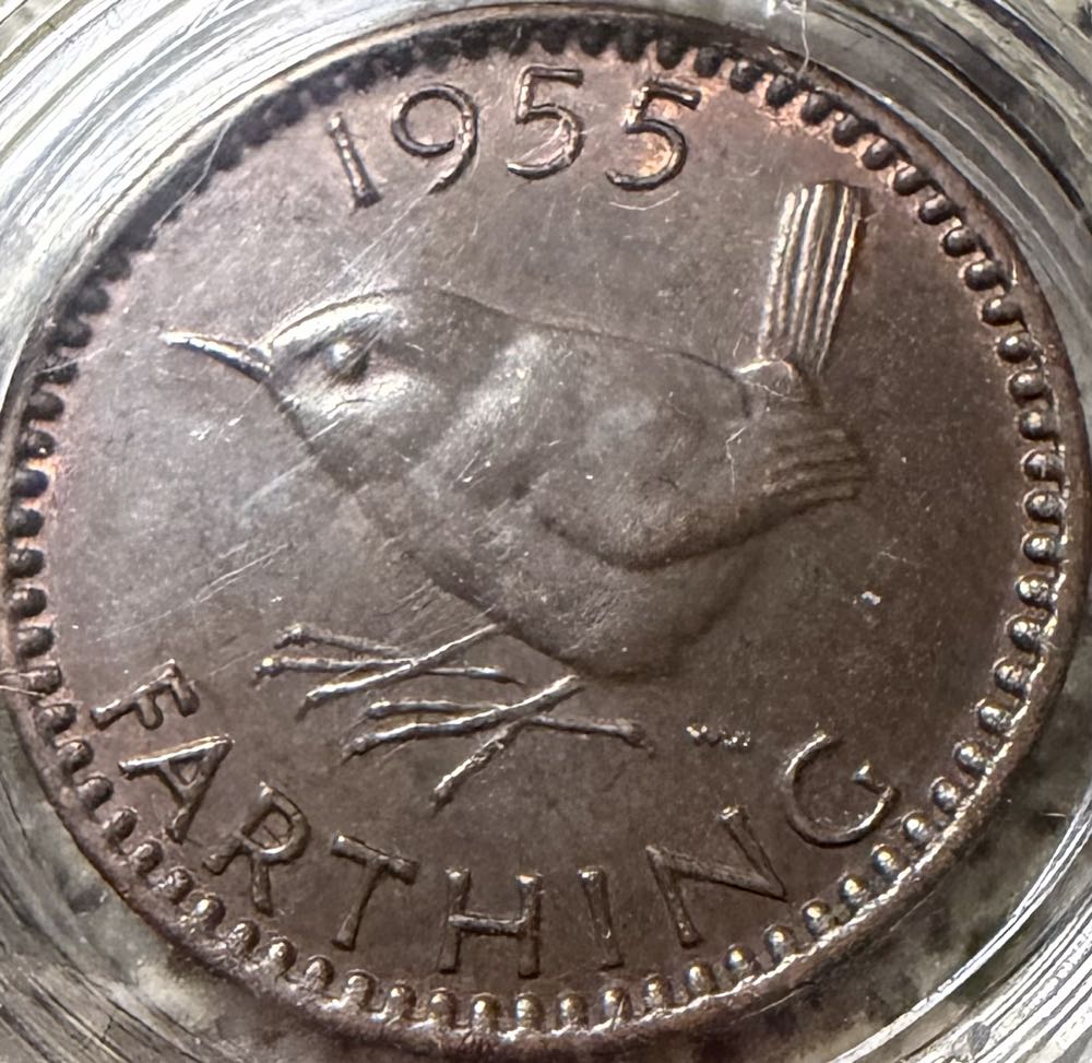 2019 Aussie A-Z Esky $1