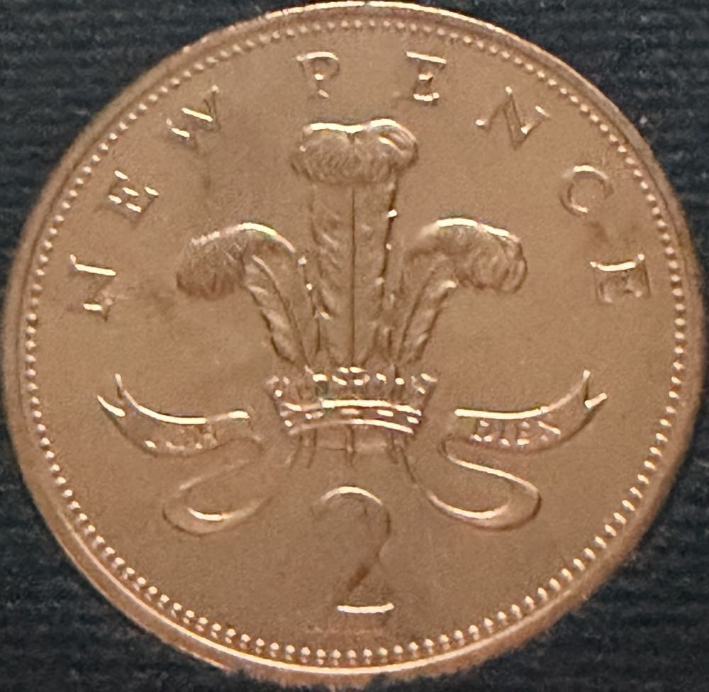 2021 Wildlife Great Spotted Woodpecker 10p (2)