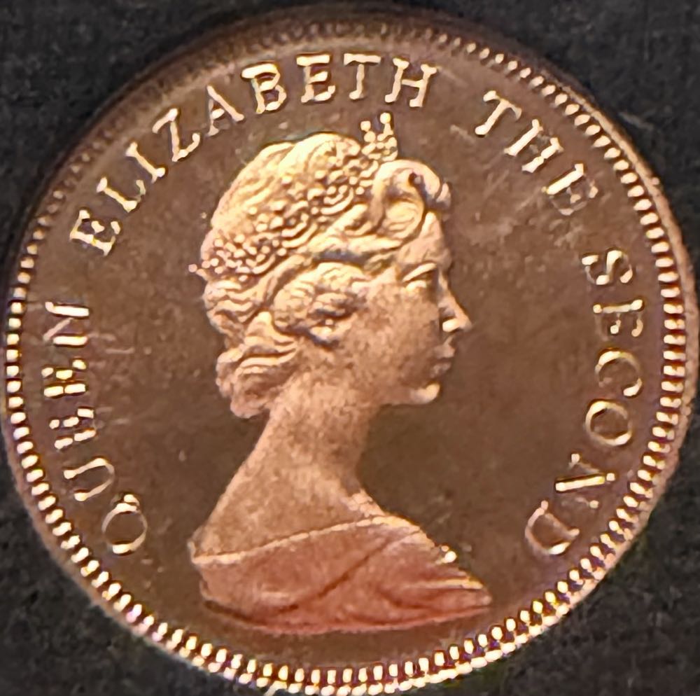 1981 One Penny  coin collectible - Main Image 2