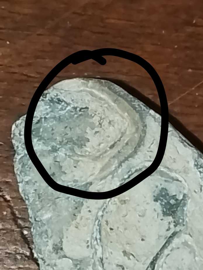 Memento Mori Gold Medal