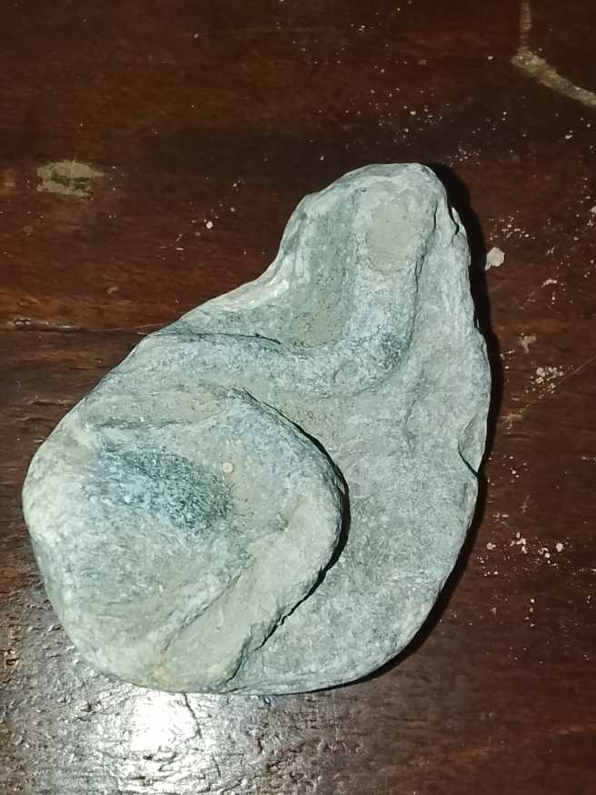 Serpula Sulcata 165-157 Mya  coin collectible - Main Image 2