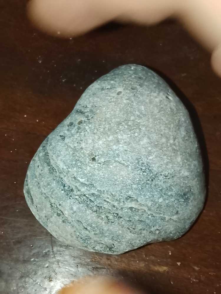 Gryphaea Dilatata 163-157 Mya  coin collectible - Main Image 2