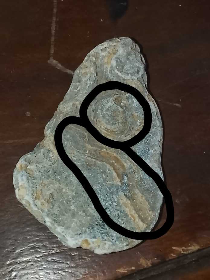 2005 Samuel Johnson’s Dictionary 50p