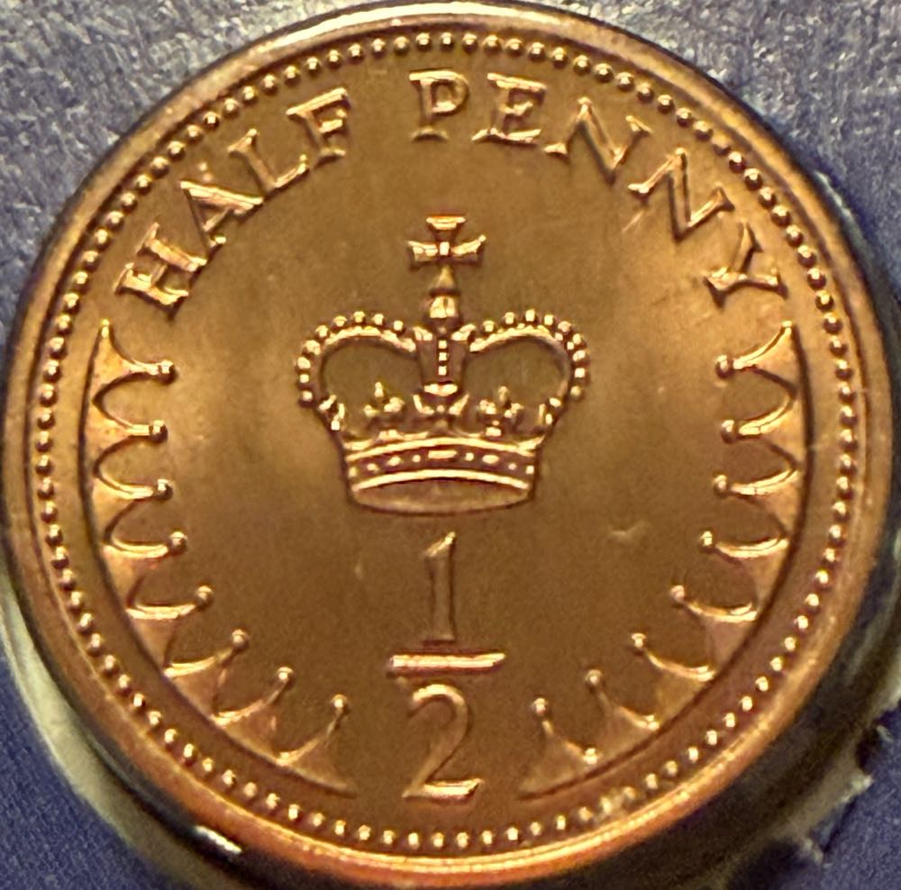 2023 Wildlife Common Lizard 10p