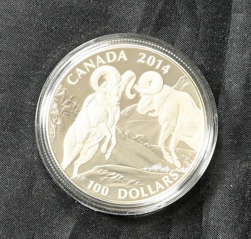 2024 Wildlife Bass 10p