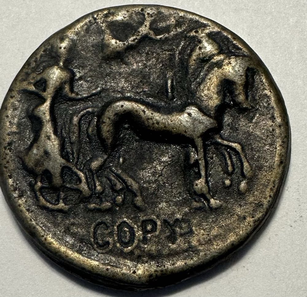 2024 Wildlife Shore Crab 10p