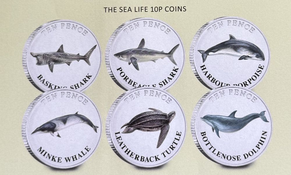 2025 Wildlife Leatherback Turtle 10p  coin collectible - Main Image 3