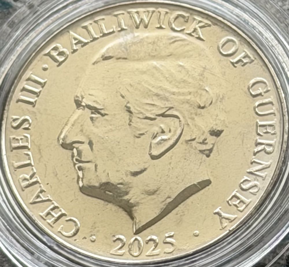 2025 Wildlife Bottlenose Dolphin 10p  coin collectible - Main Image 2