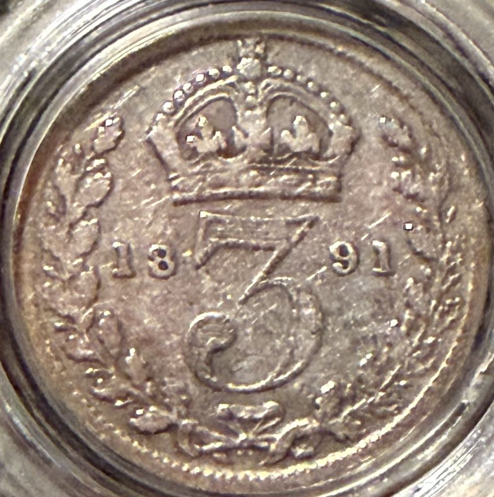 2021 Temnodontosaurus 50p (2)