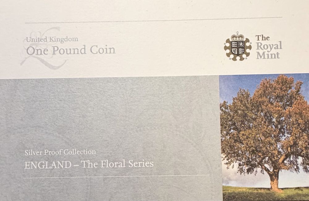 2008 The English Oak £1  coin collectible - Main Image 4