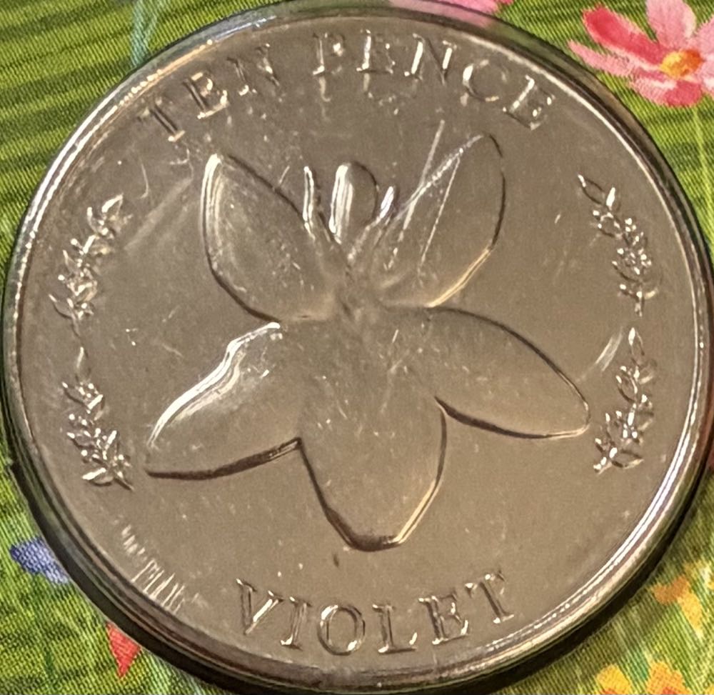 Quarter Theodore Roosevelt 2016 D 3