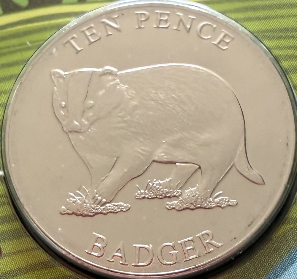 1986 Northern Ireland Flax Piedfort £1