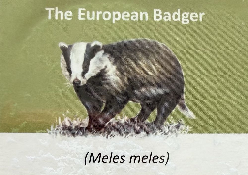 2021 Wildlife Badger 10p (2)  coin collectible - Main Image 3