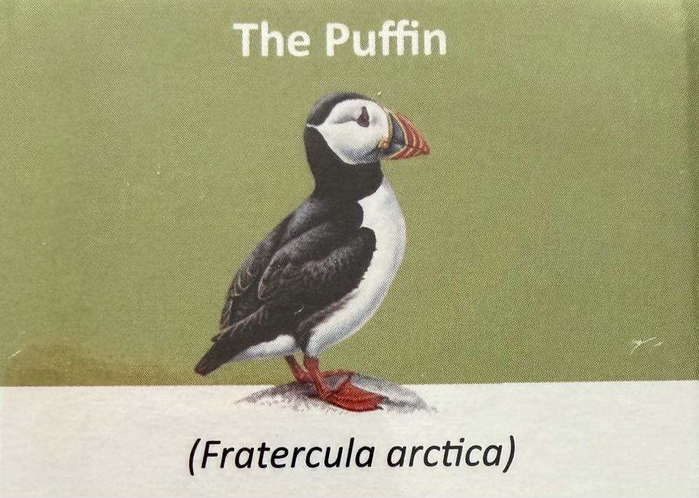 2021 Wildlife Puffin 10p (2)  coin collectible - Main Image 3