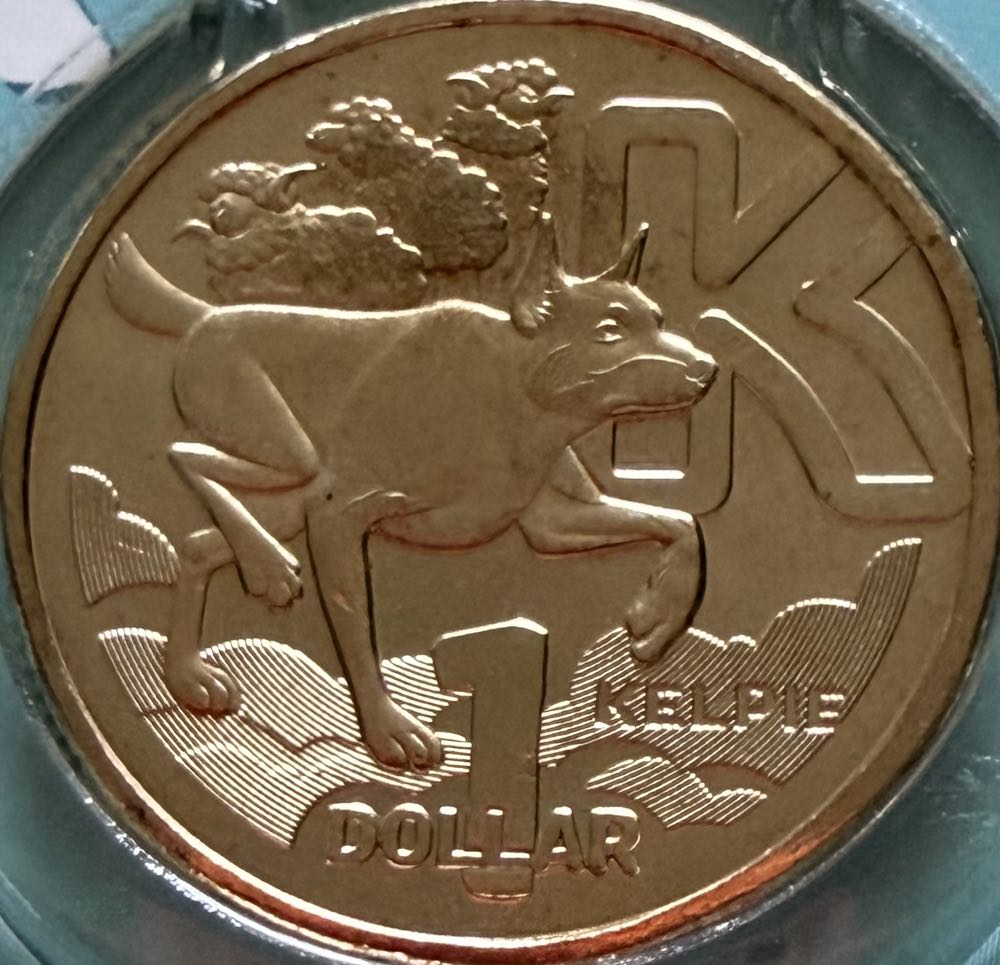 1896 Morgan Silver Dollar