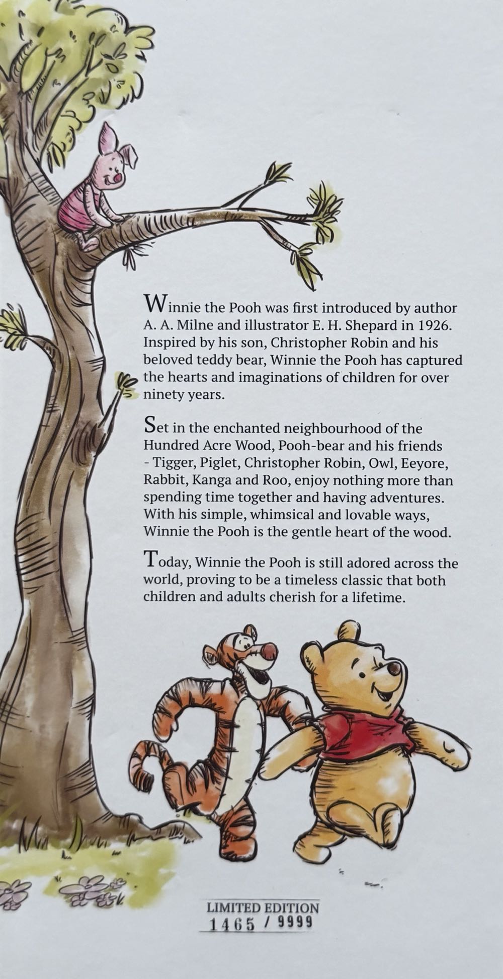 Pooh & Owl Medal  coin collectible - Main Image 4