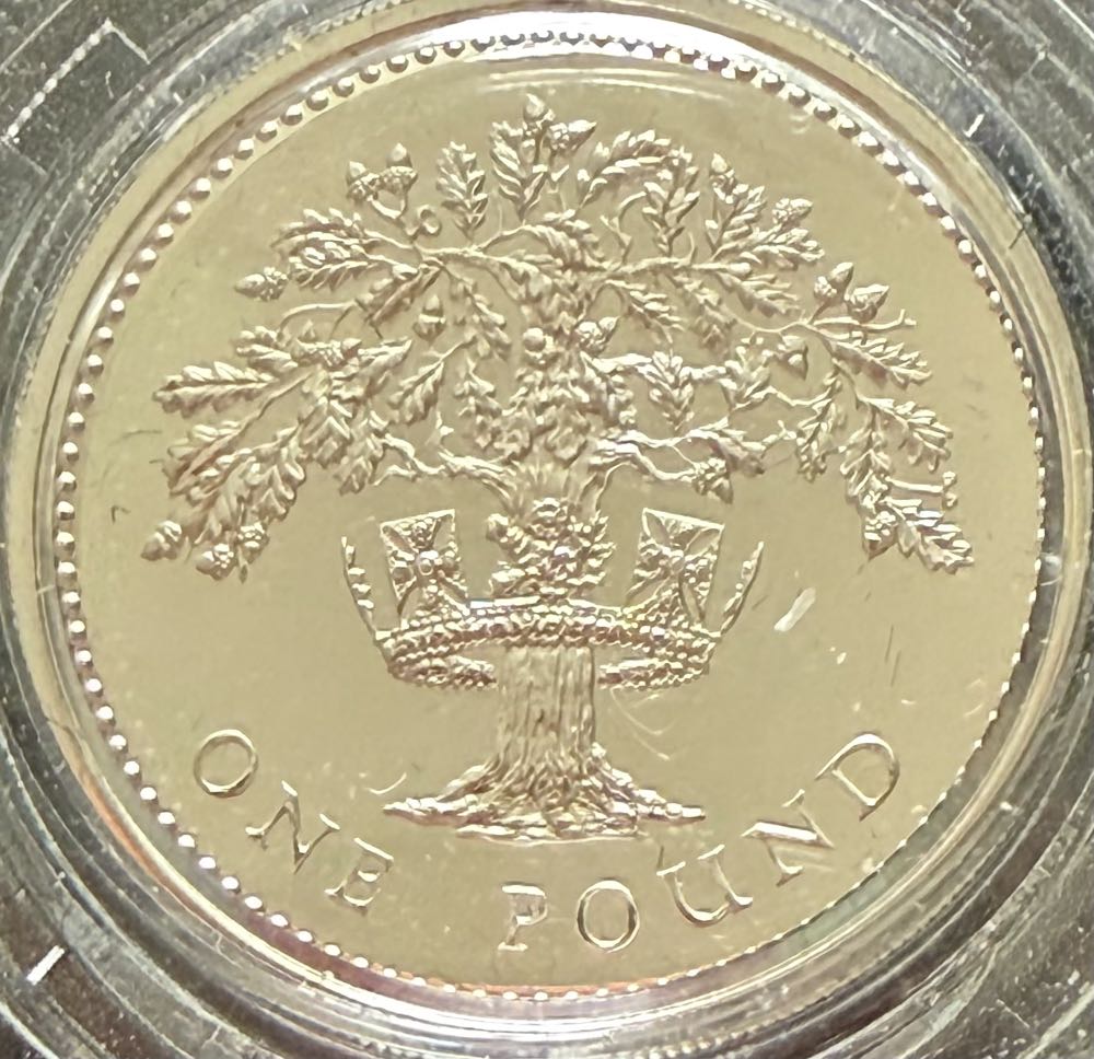 1999 Millennium Baby Rattle £5