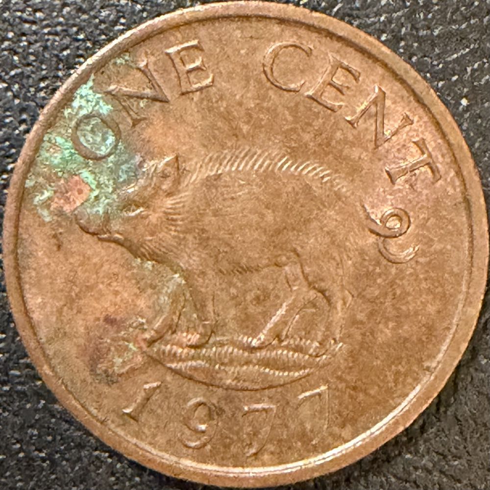 Quarter New Mexico 2008 D 20