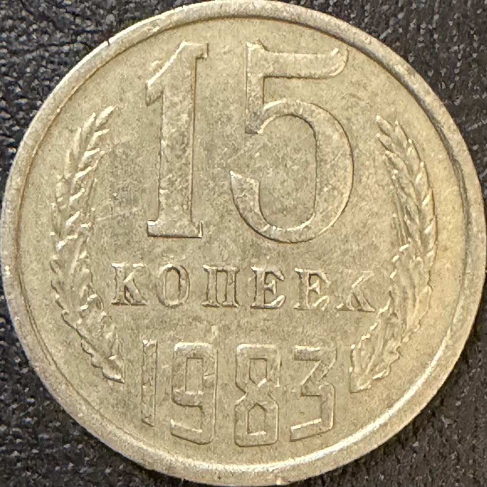 2025 Wildlife Leatherback Turtle 10p