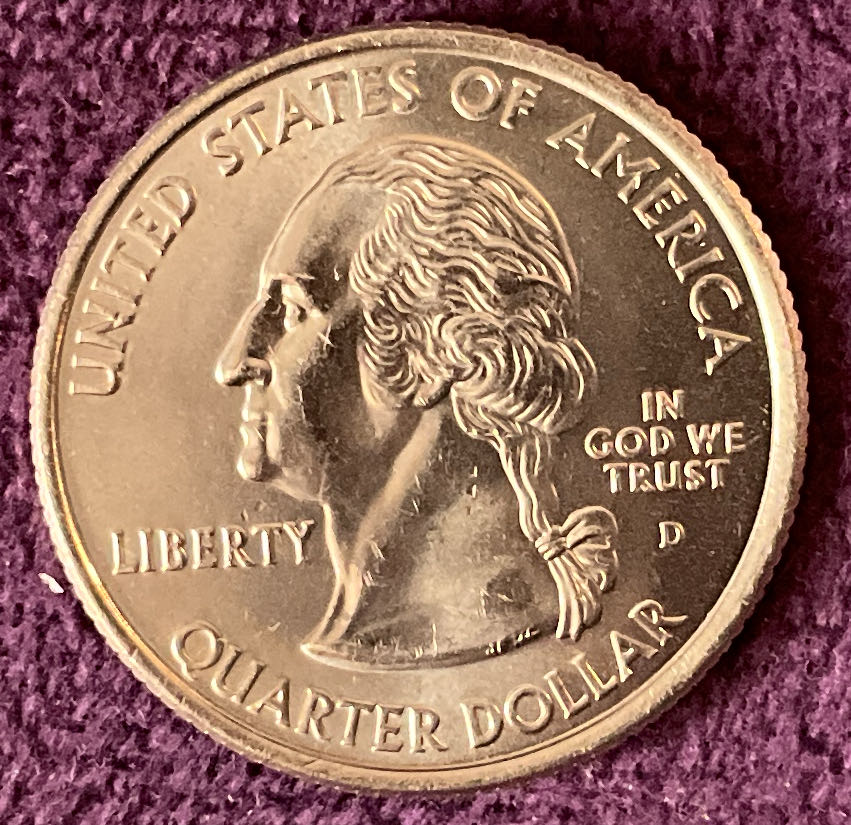 2021 Wildlife Swallow 10p (2)