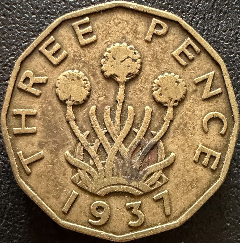 2021 Wildlife Red Fox 10p (2)