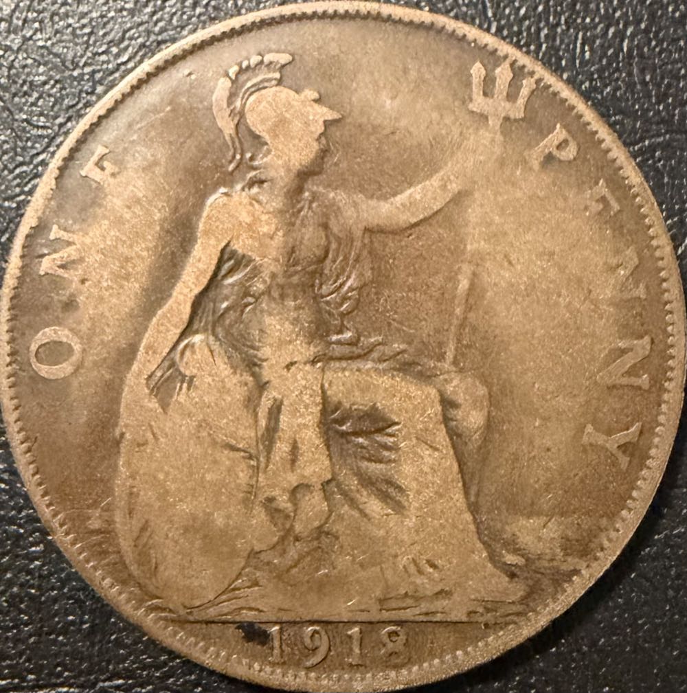 2021 Wildlife Gannet 10p (2)