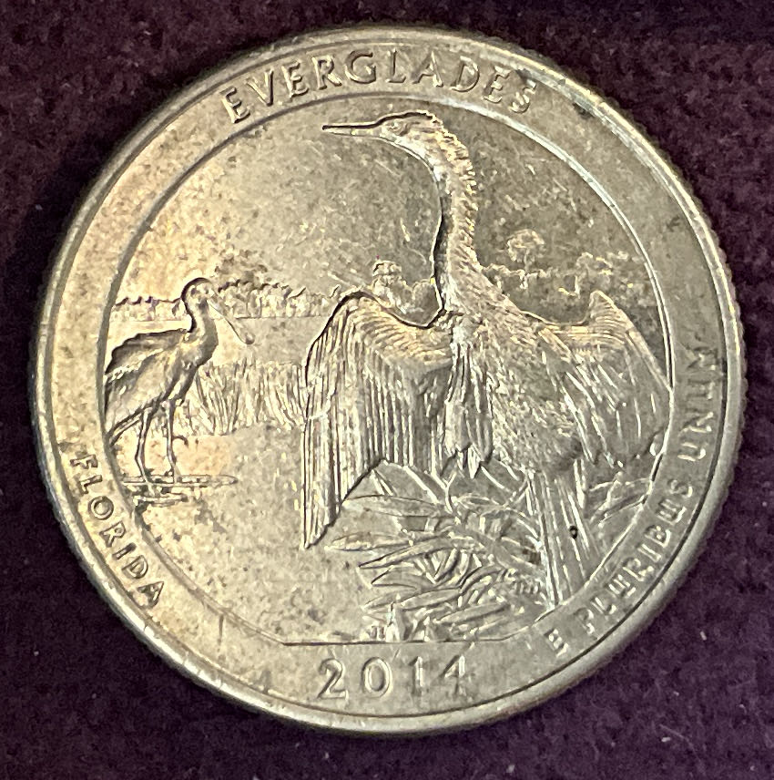 Quarter Everglades 2014 D 4  coin collectible - Main Image 4