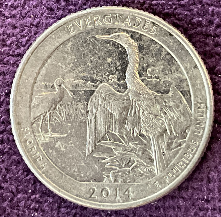 Quarter Everglades 2014 D 4  coin collectible - Main Image 6