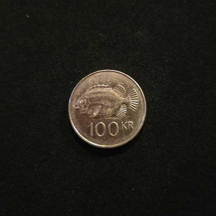 Iceland 100 Kronur  coin collectible - Main Image 2