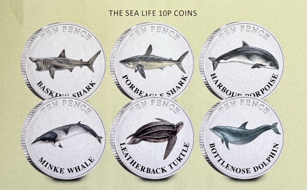 2025 Minke Whale 10p  coin collectible - Main Image 3