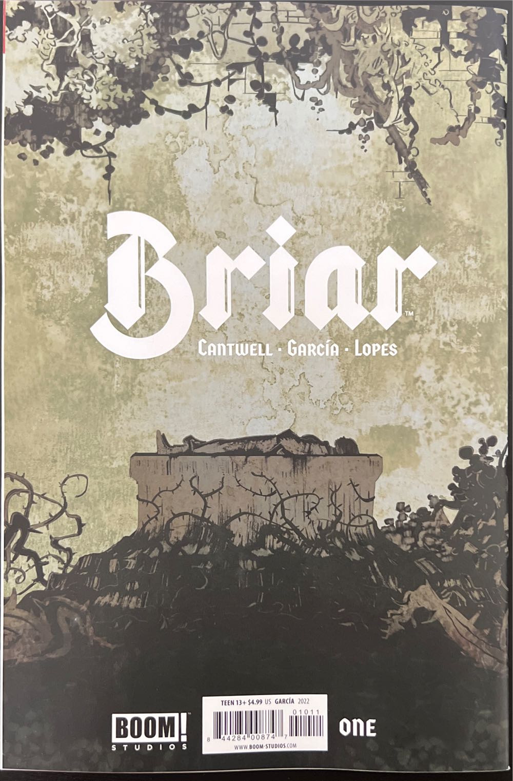Briar - Boom Studios (1 - Sep 2022) comic book collectible [Barcode 84428400874701011] - Main Image 2