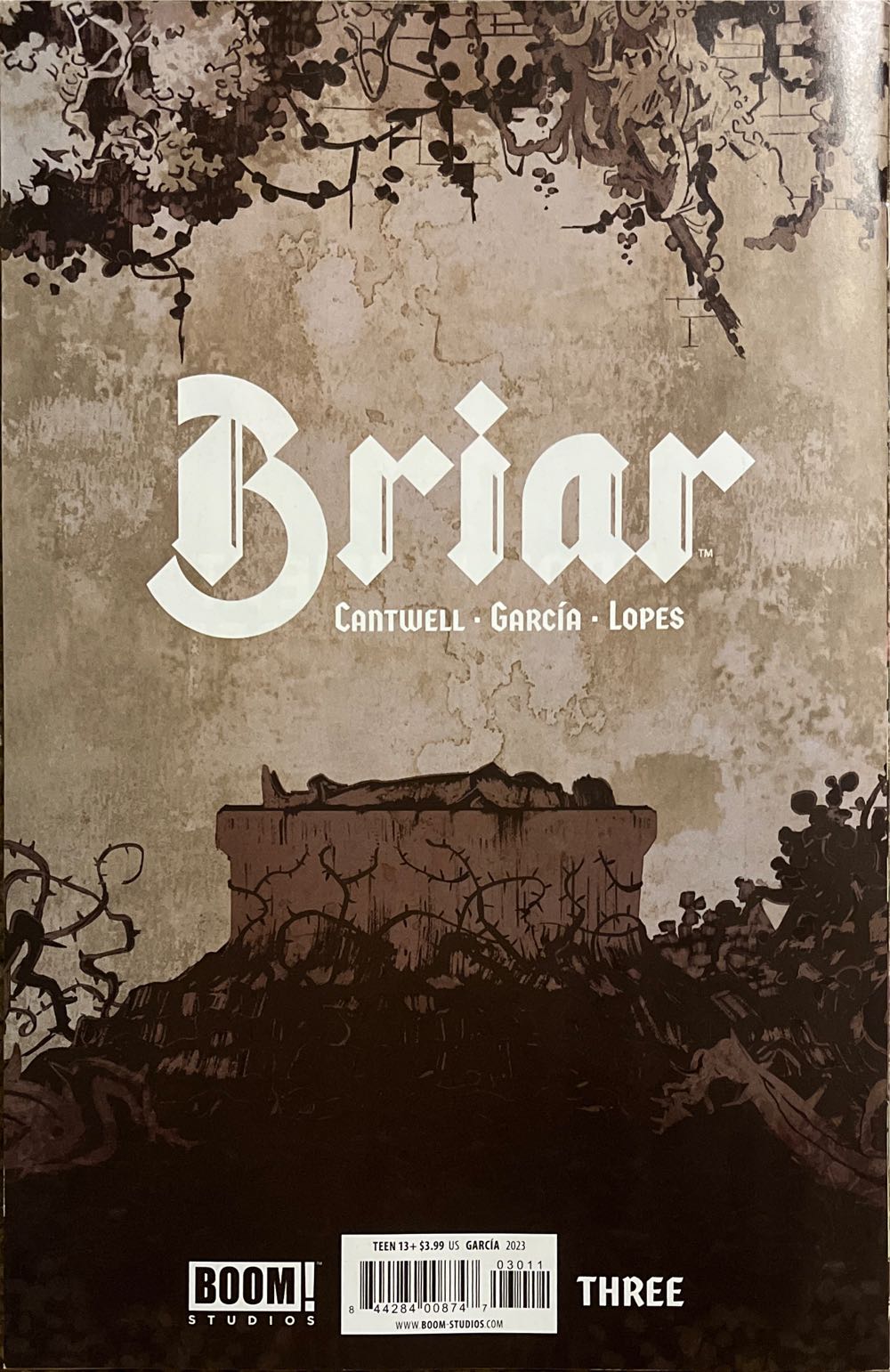 Briar - Boom! Studios (3 - Feb 2023) comic book collectible [Barcode 84428400874703011] - Main Image 2