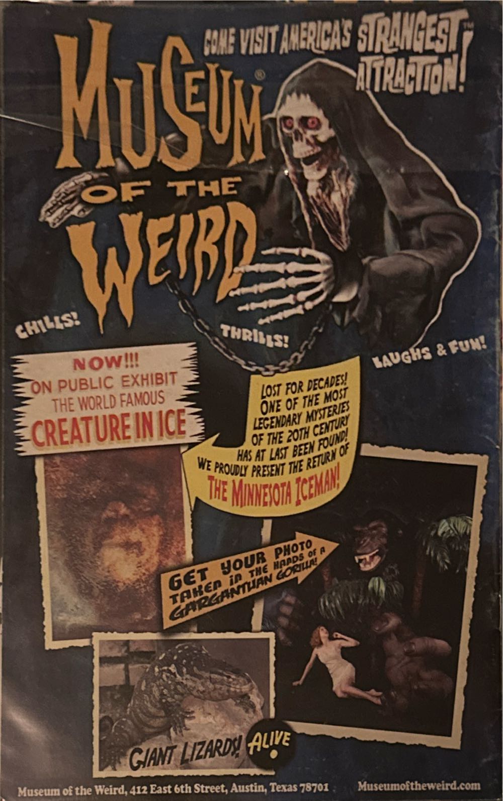 Museum Of The Weird