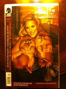 Buffy The Vampire Slayer