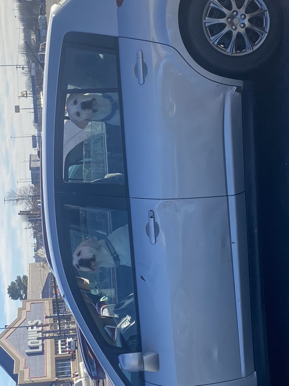 Walking Dead, The - Image Comics (141 - May 2015) comic book collectible - Main Image 3