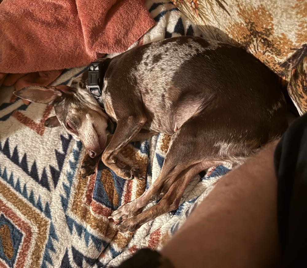 The Invincible Iron Man - Marvel Comics (196 - Jul 1985) comic book collectible [Barcode 9780785136866] - Main Image 2