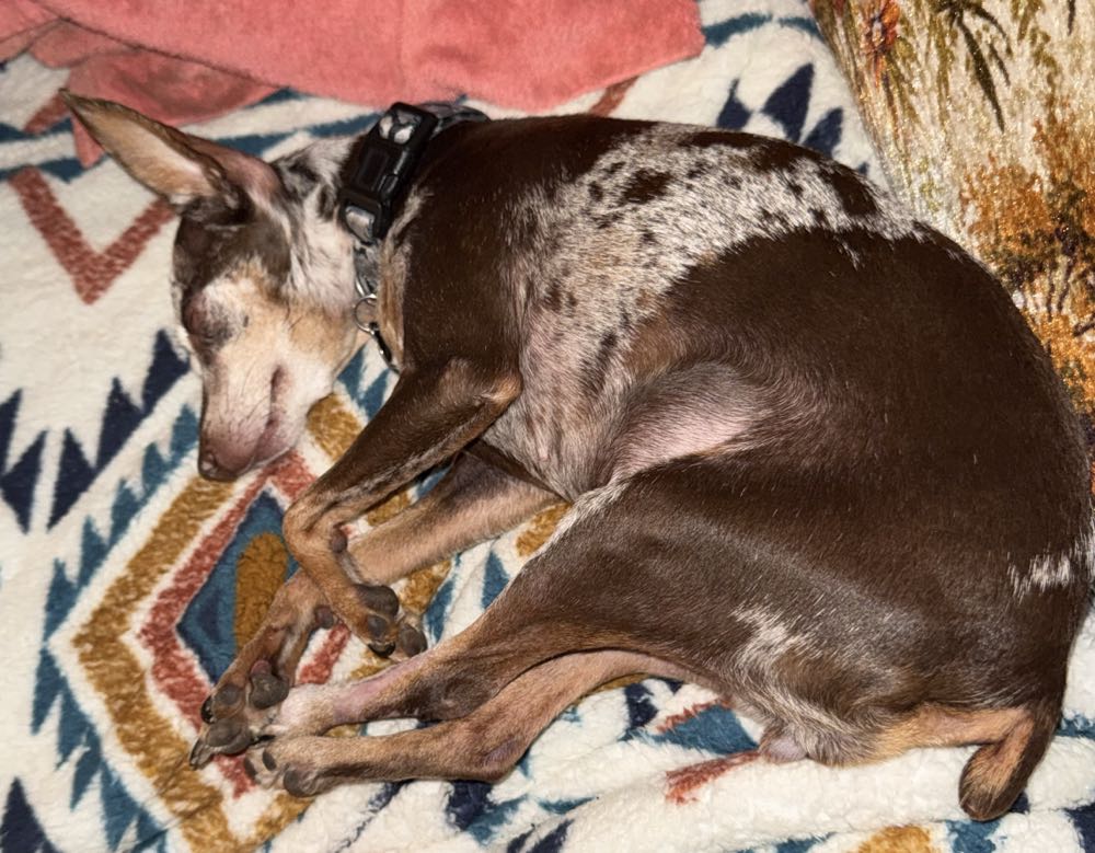 The Invincible Iron Man - Marvel Comics (196 - Jul 1985) comic book collectible [Barcode 9780785136866] - Main Image 3