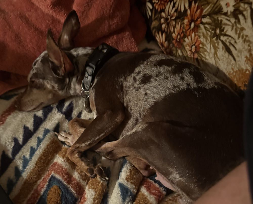 The Invincible Iron Man - Marvel Comics (196 - Jul 1985) comic book collectible [Barcode 9780785136866] - Main Image 4