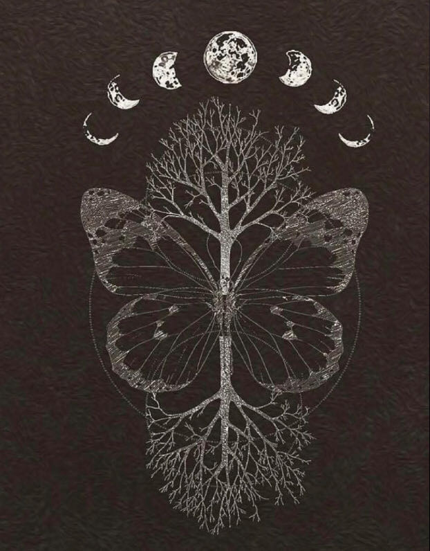 Batman - DC Comics (613 - Apr 2003) comic book collectible - Main Image 2