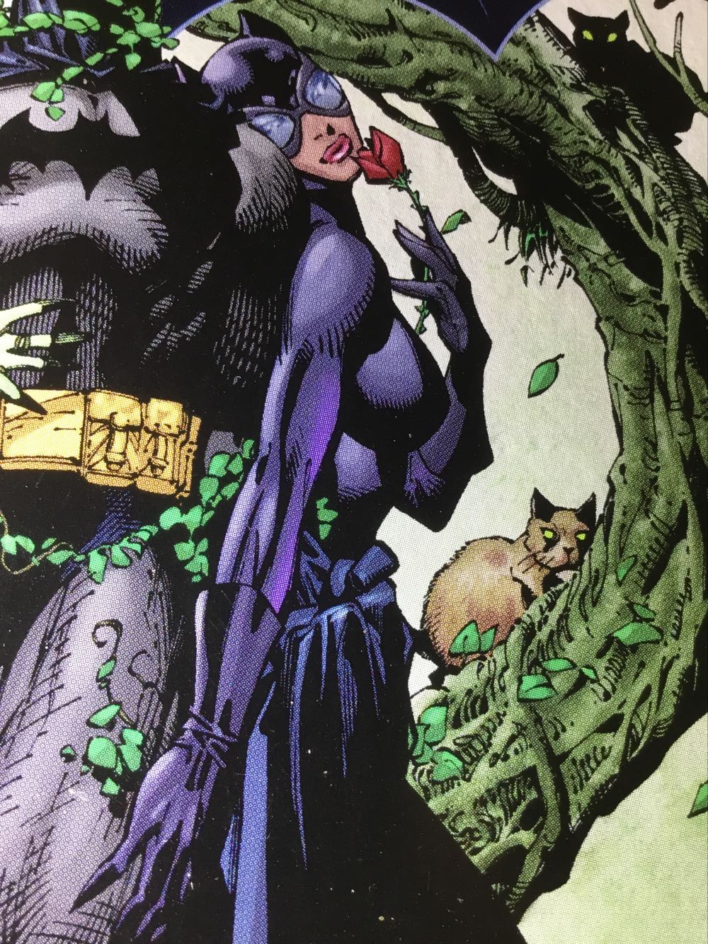 Batman - DC Comics (609 - Jan 2003) comic book collectible [Barcode 76194120005760911] - Main Image 2