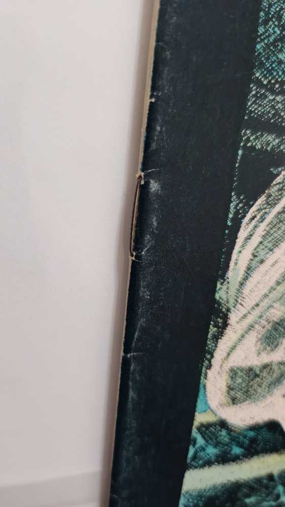 Phantom Stranger, The - DC Comics (10 - Dec 1970) comic book collectible - Main Image 4